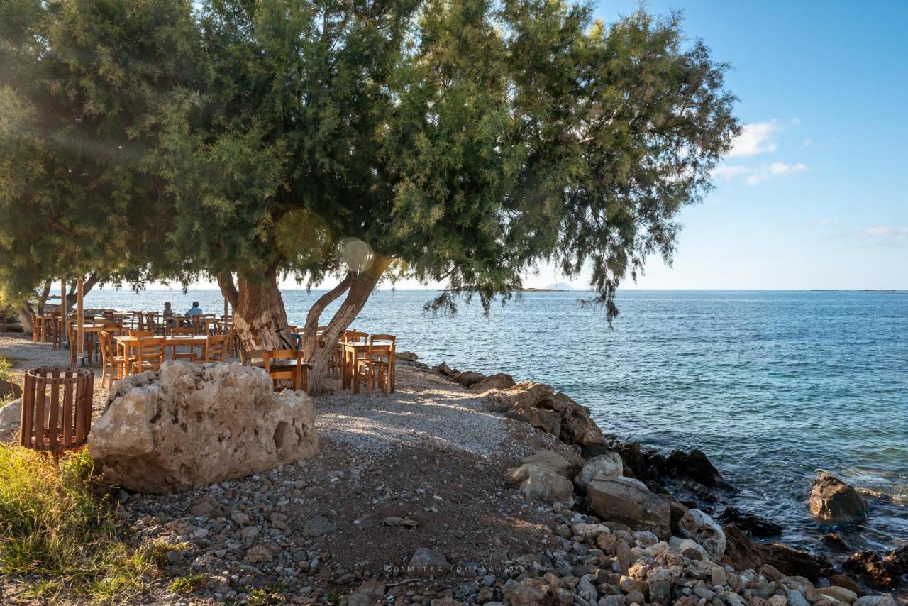 Alexandros Luxury House Βίλα Φαλάσαρνα Εξωτερικό φωτογραφία